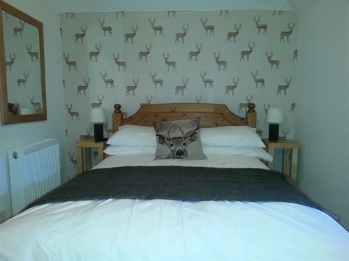 ลอดจ์ แอท ลอคไซด์ Bed & Breakfast Bridgend of Lintrathen ภายนอก รูปภาพ